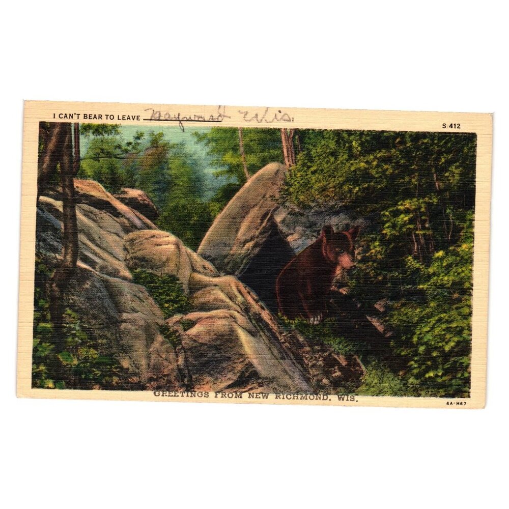 Vintage 1945 Art Color Greetings New Richmond Wisconsin Postcard Bear Scene